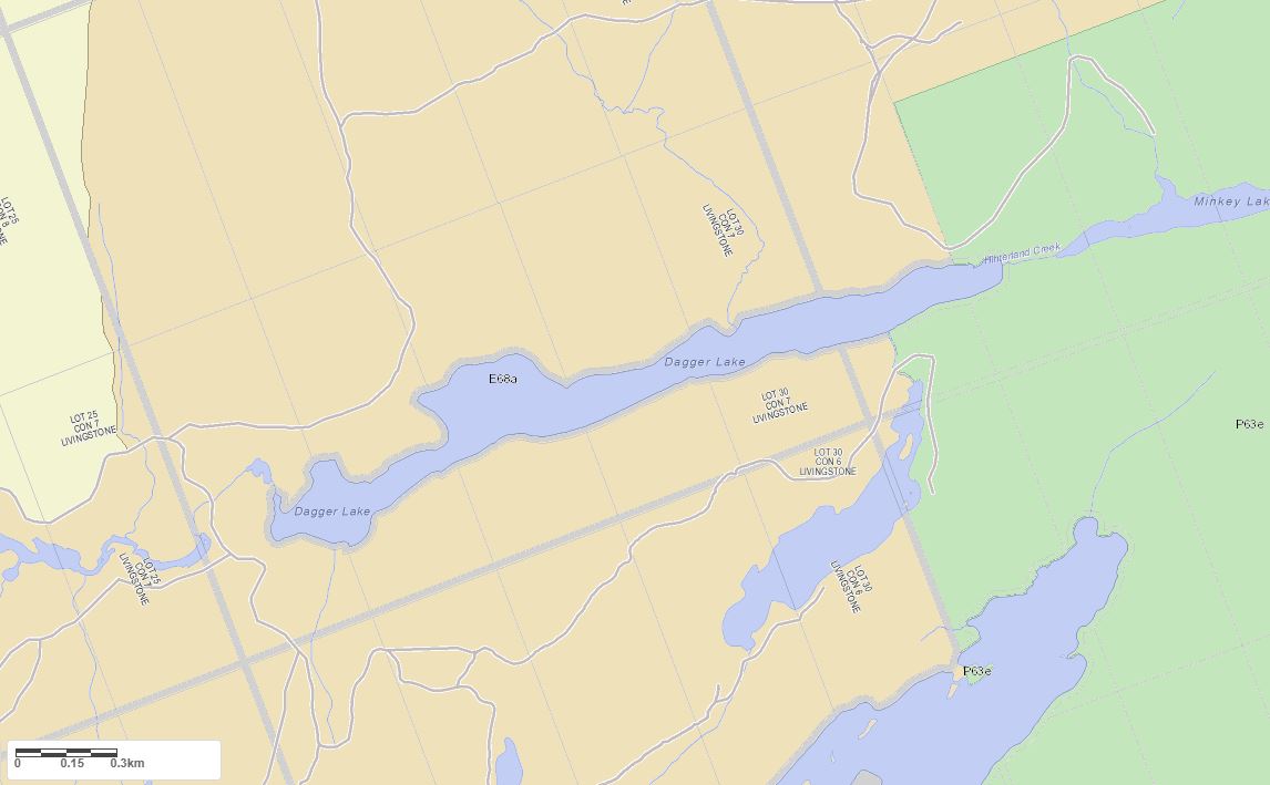 Crown Land Map of Dagger Lake in Municipality of Algonquin Highlands and the District of Haliburton